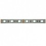 Tira LED Iglux TL-506020-F/ 5m/ 14.4W/ 6000ºK
