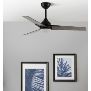 Ventilador de Techo Argestes Negro , 3 Aspas Gris  6Velocidades
